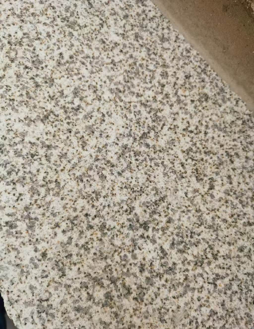 成都 黄金麻中黄光面