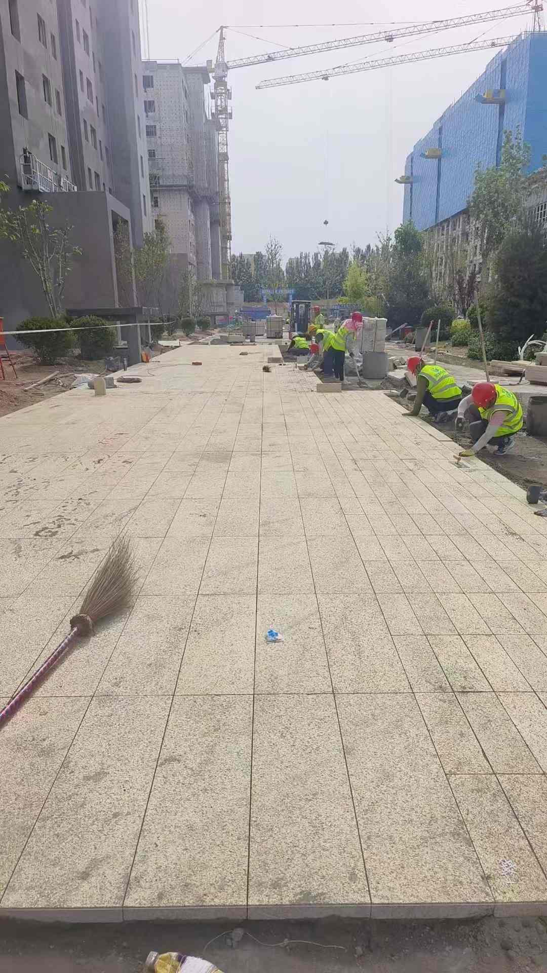 成都黄金麻荔枝面地铺案例