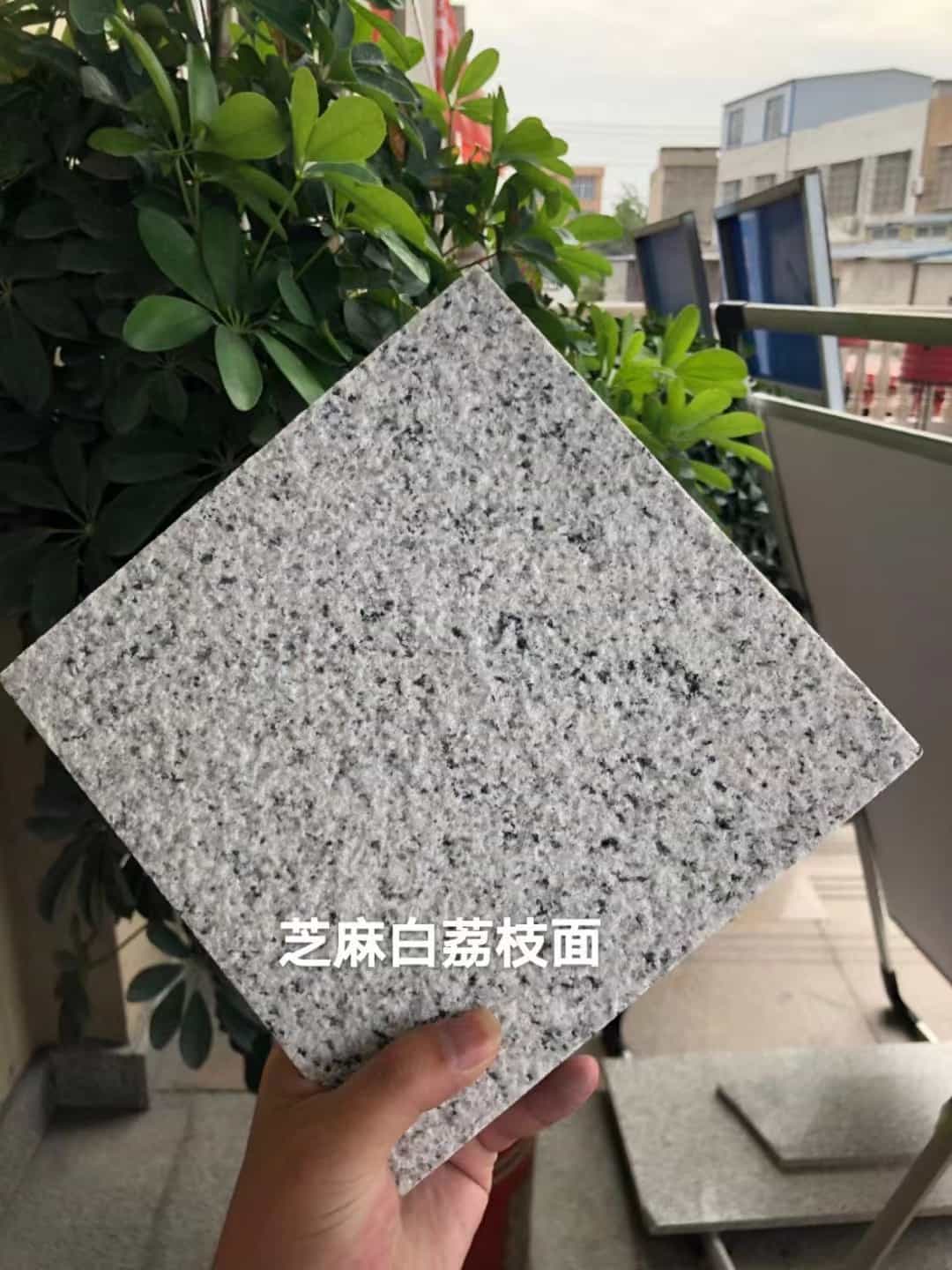 成都 芝麻白荔枝面干挂