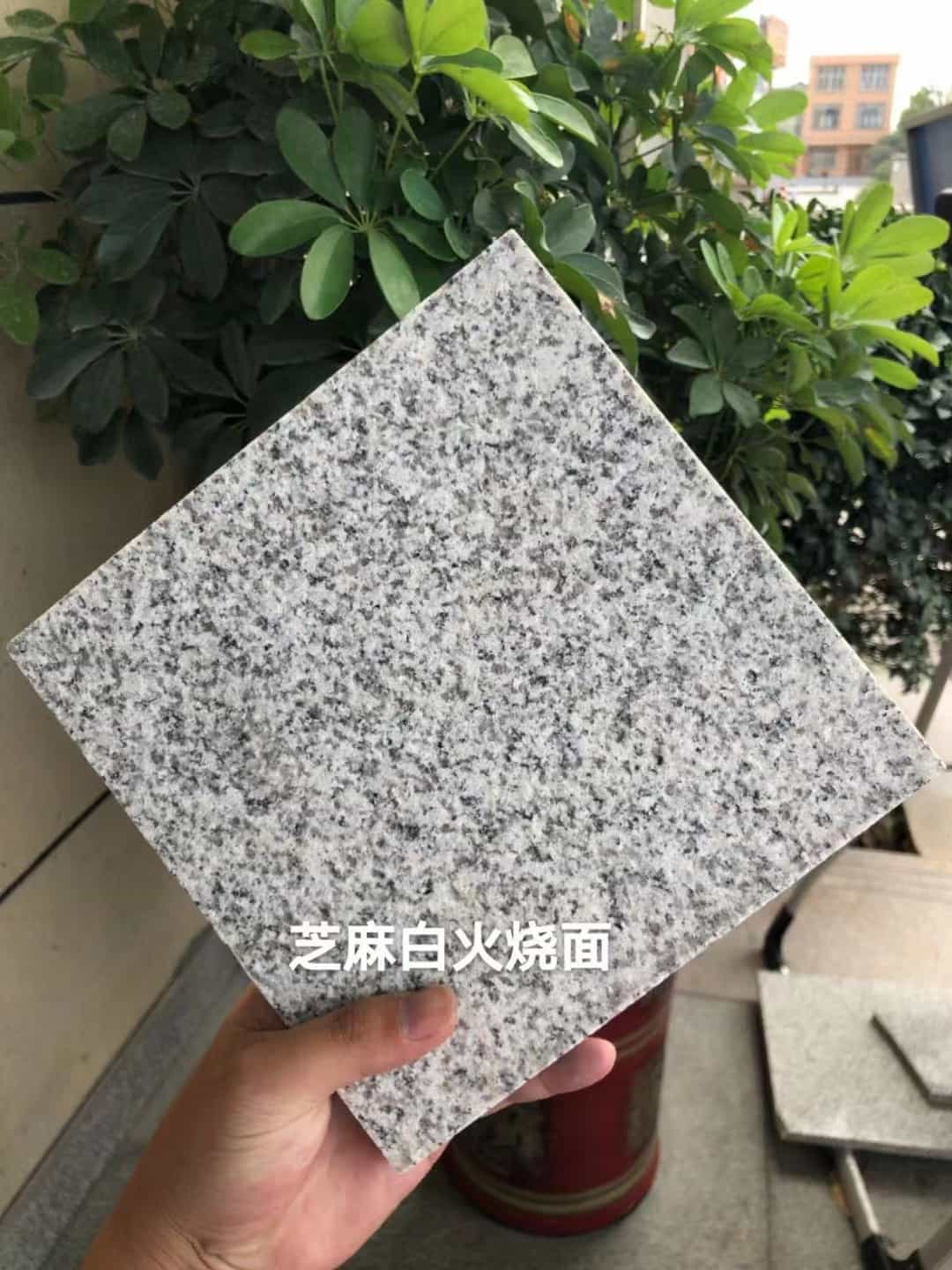 成都芝麻白火烧面地铺