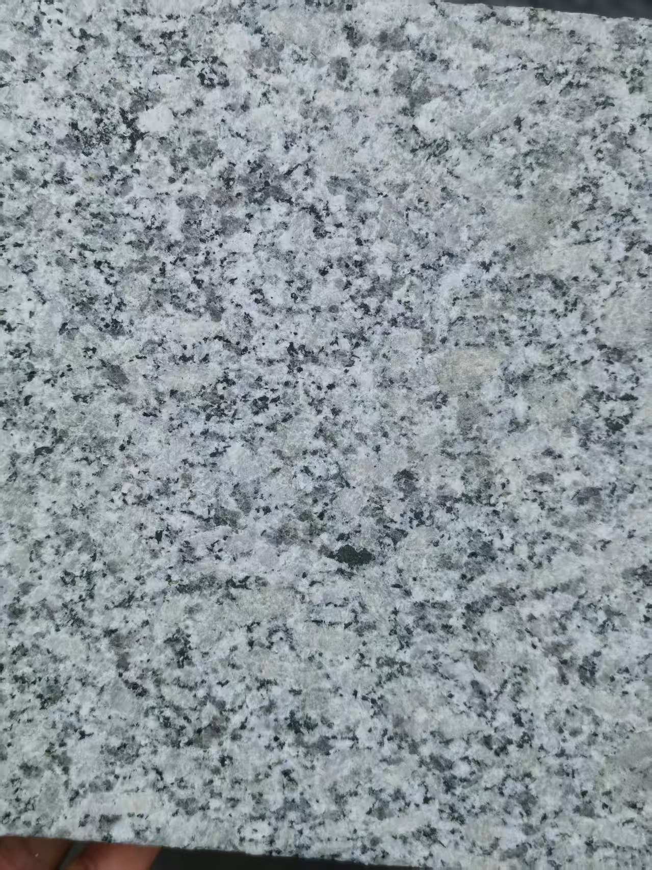 成都 芙蓉白火烧面